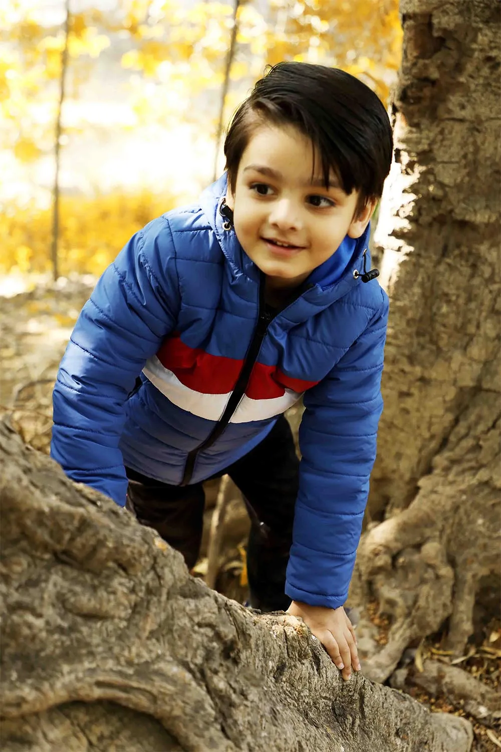 Blue Panelled Puffer Hood Jacket