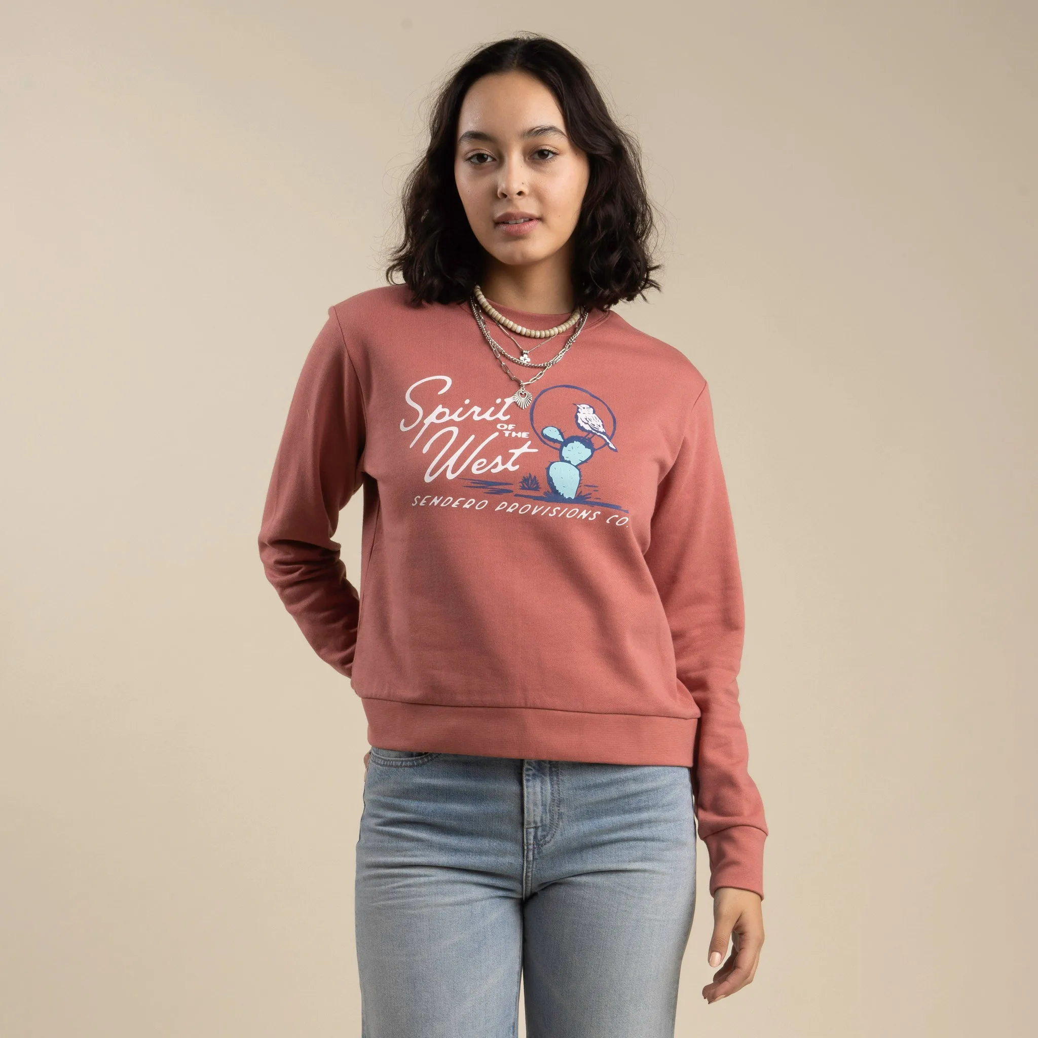 Cactus Wren Drop Shoulder Sweatshirt