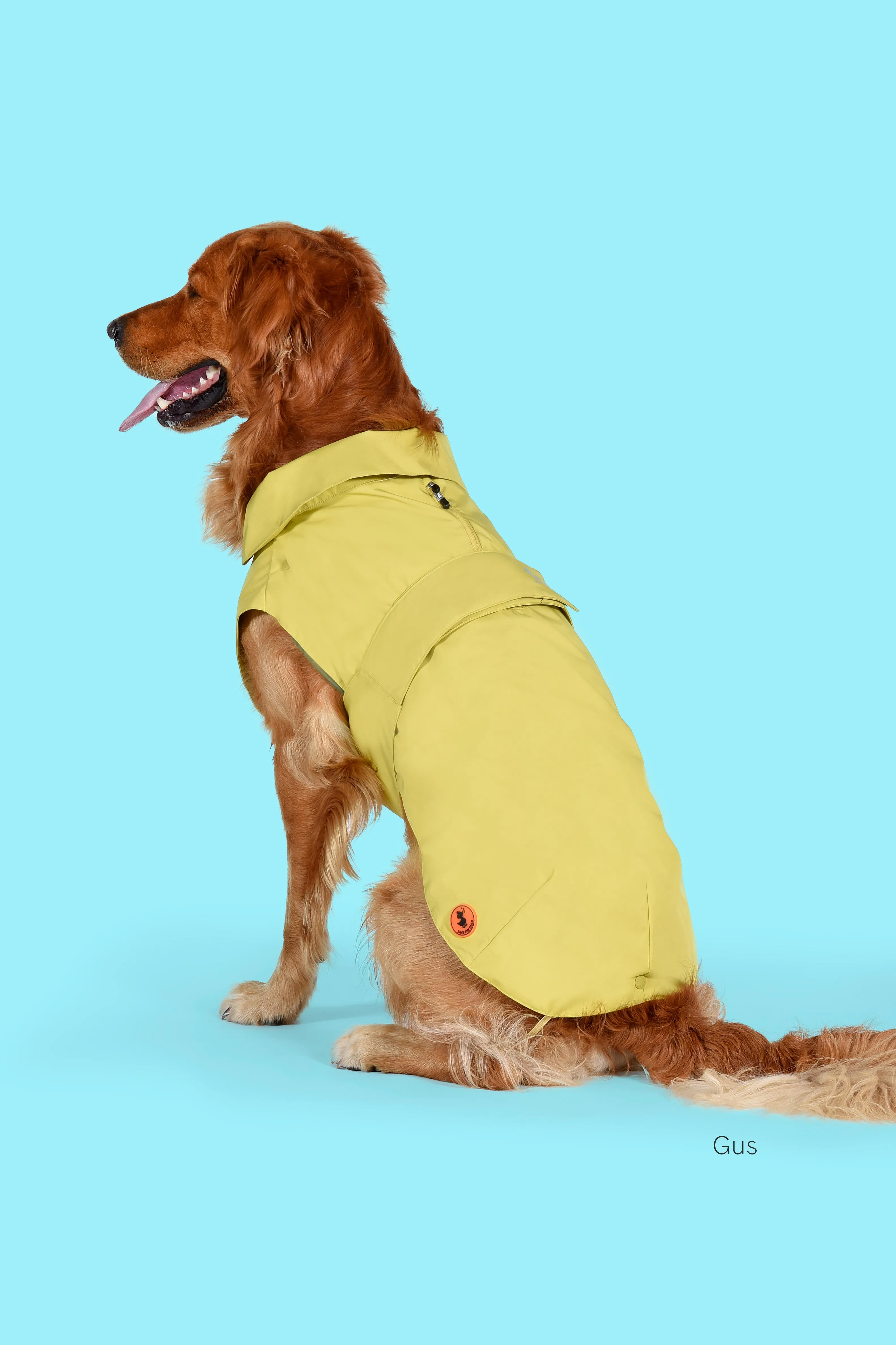 Dog Rex Coat in Citronella Green