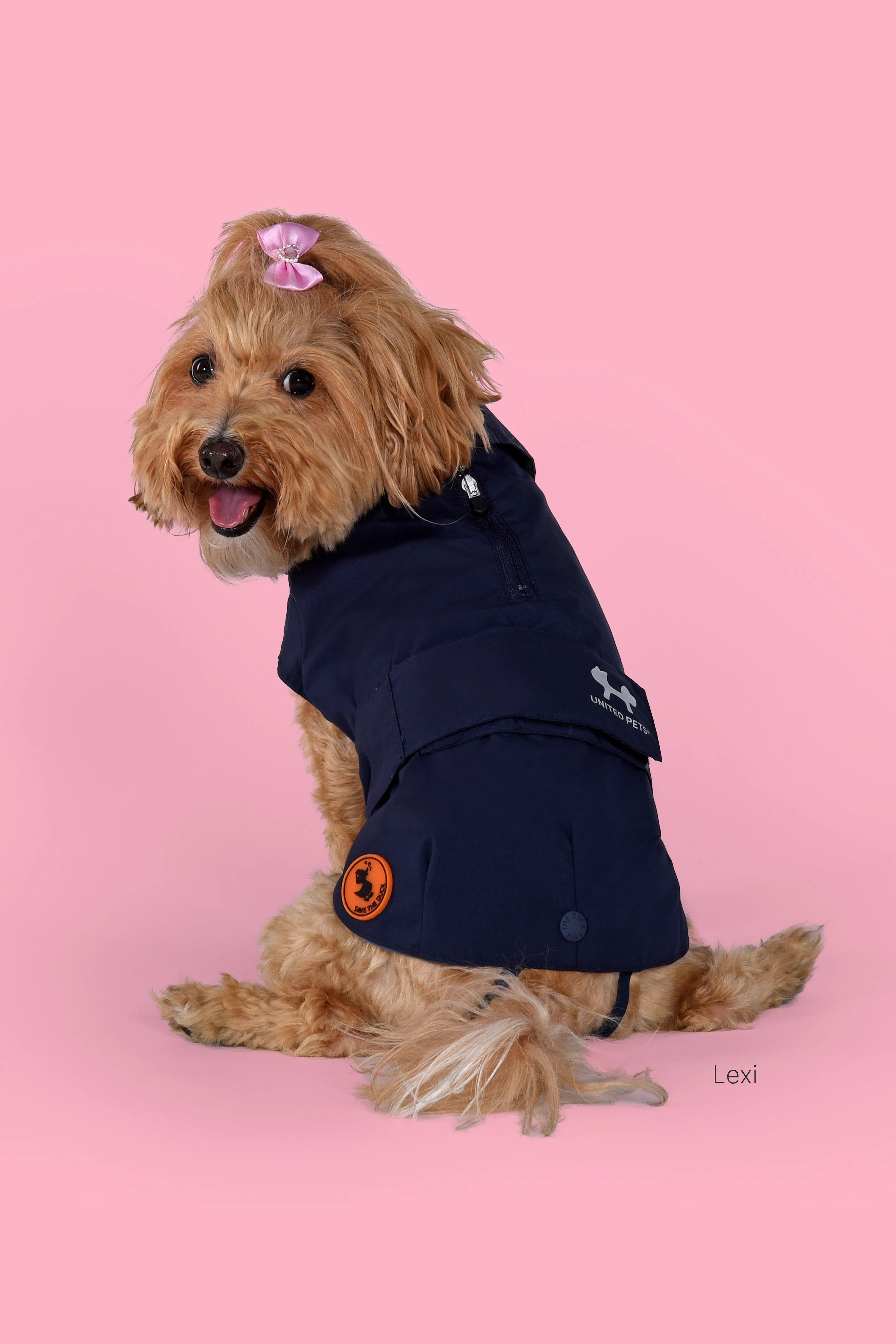 Dog Rex Coat in Navy Blue