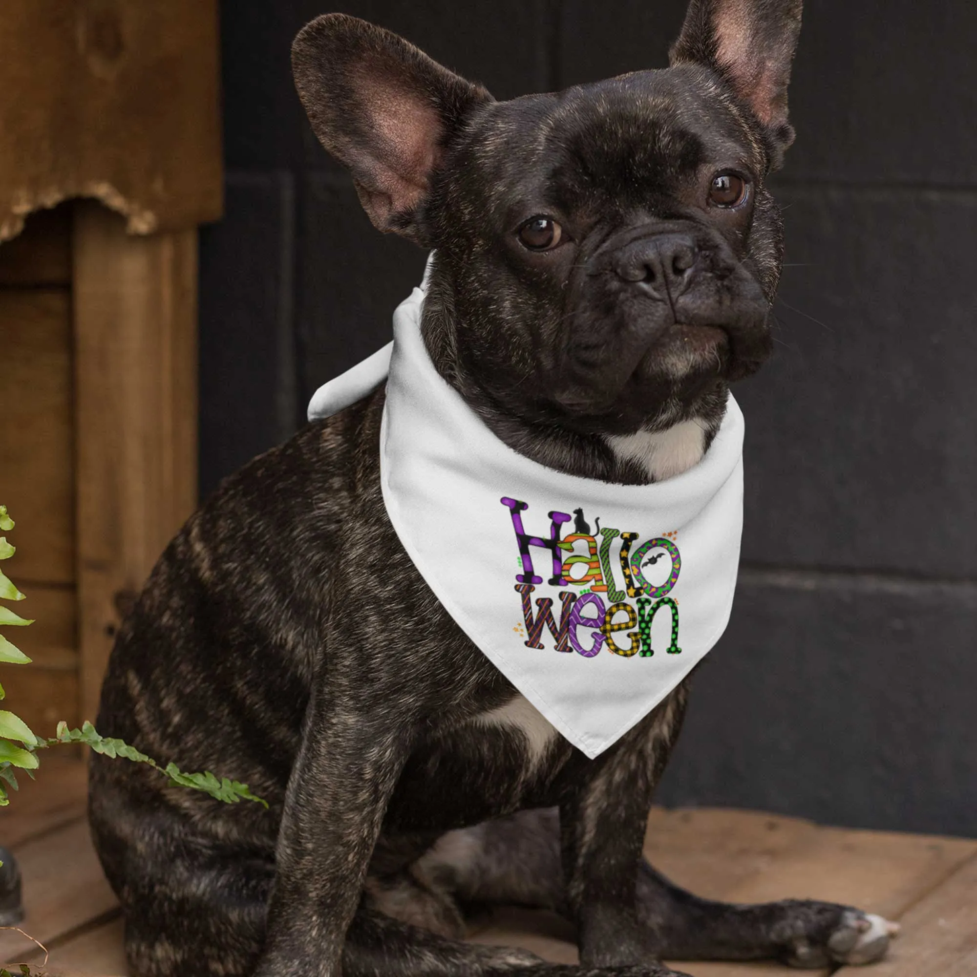 Halloween Tie-On Pet Bandana