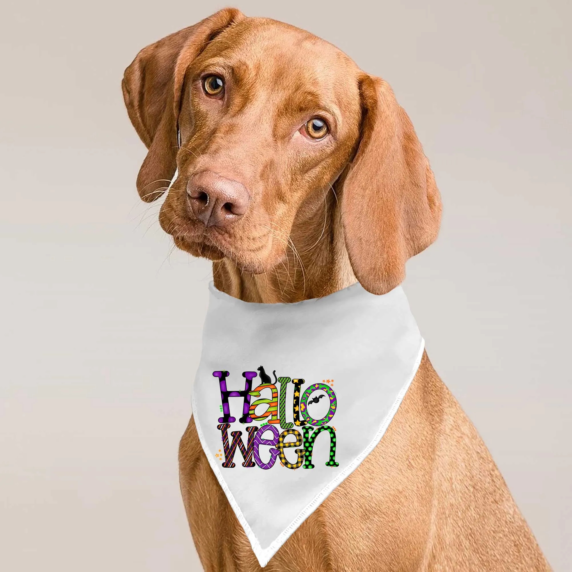 Halloween Tie-On Pet Bandana