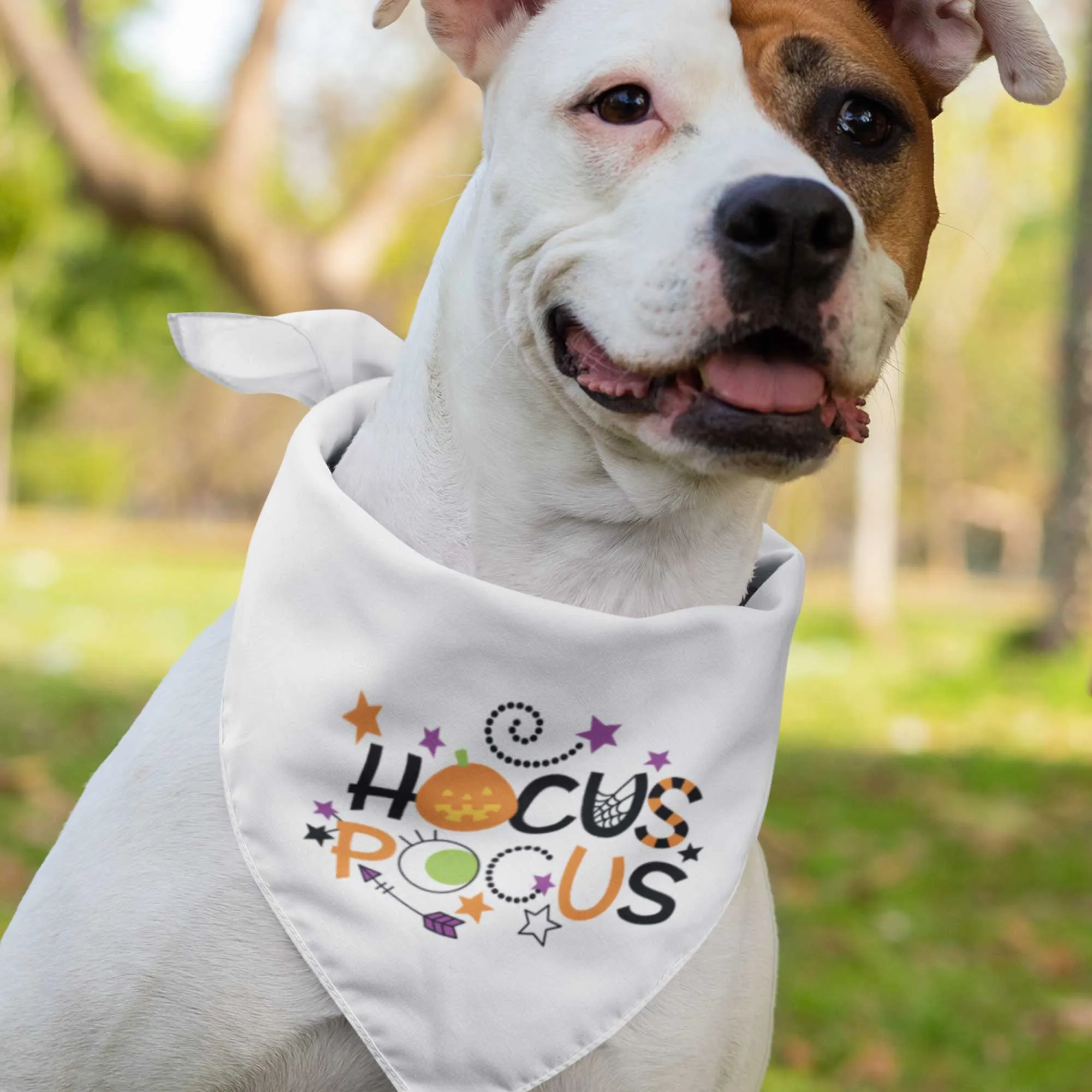 Hocus Pocus Tie-On Pet Bandana