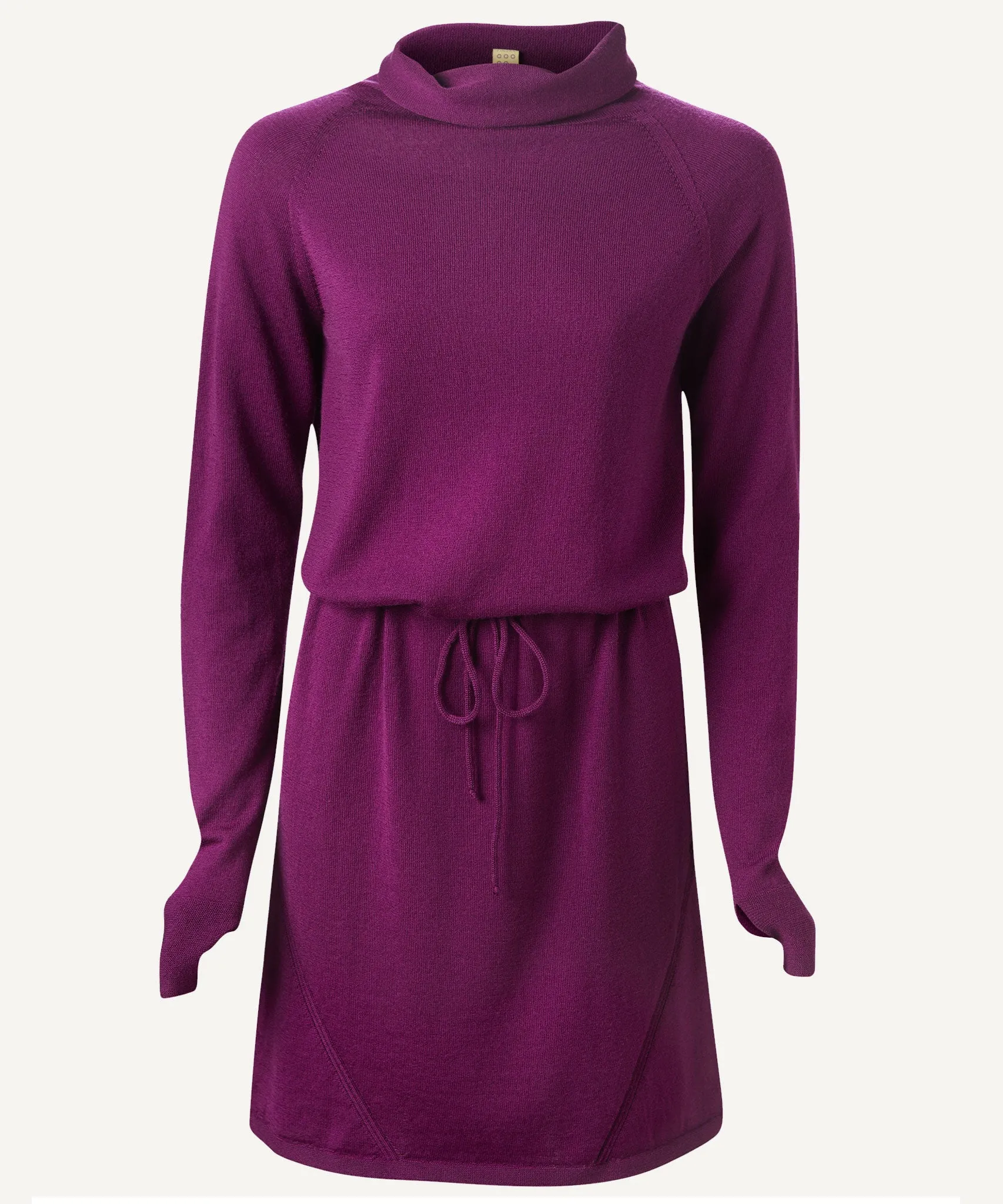 Innis Merino Cowl Neck Dress