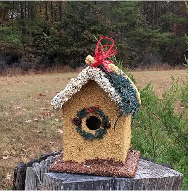 Mr. Bird Birdie’s B&B Bluebird