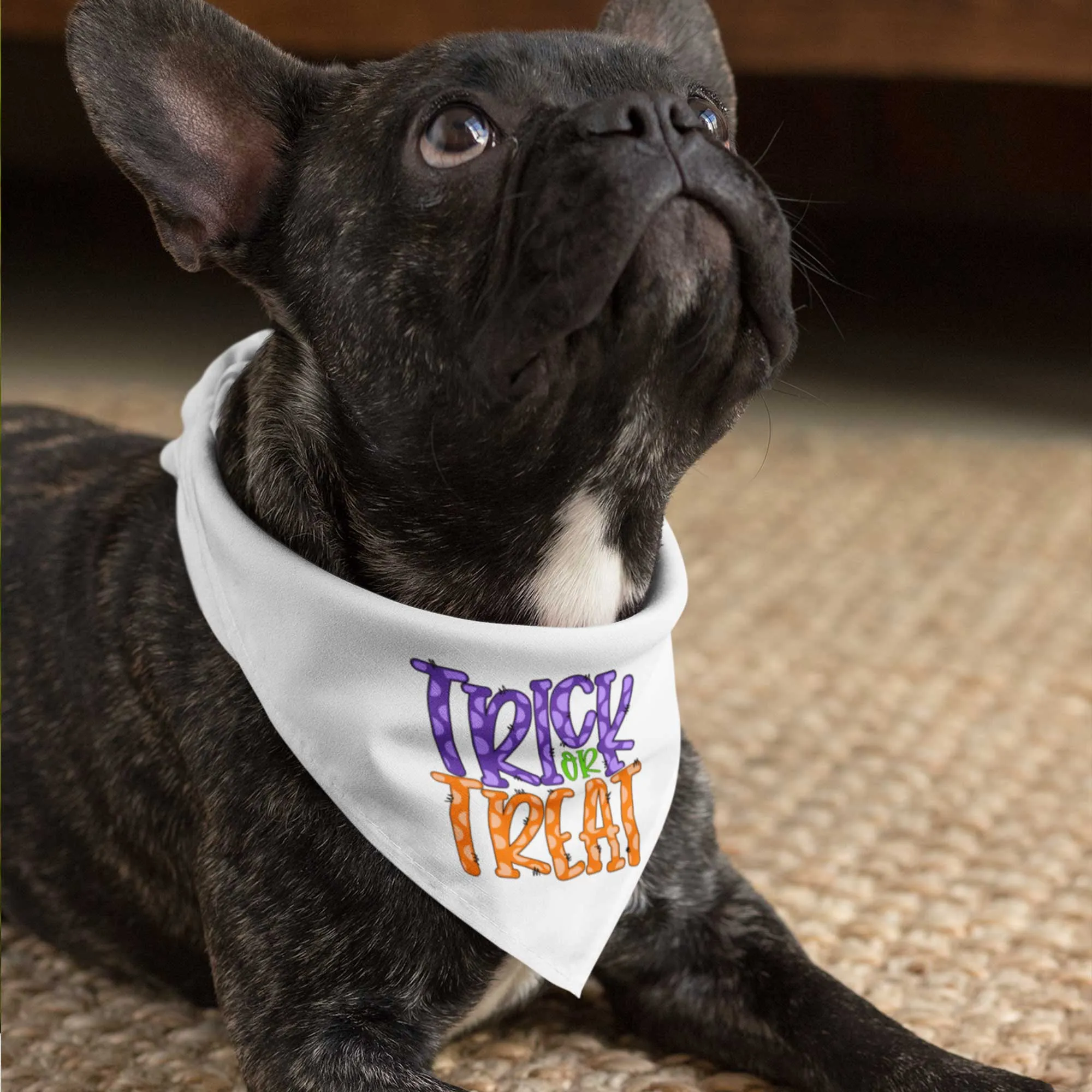 Trick or Treat Tie-On Pet Bandana with Purple