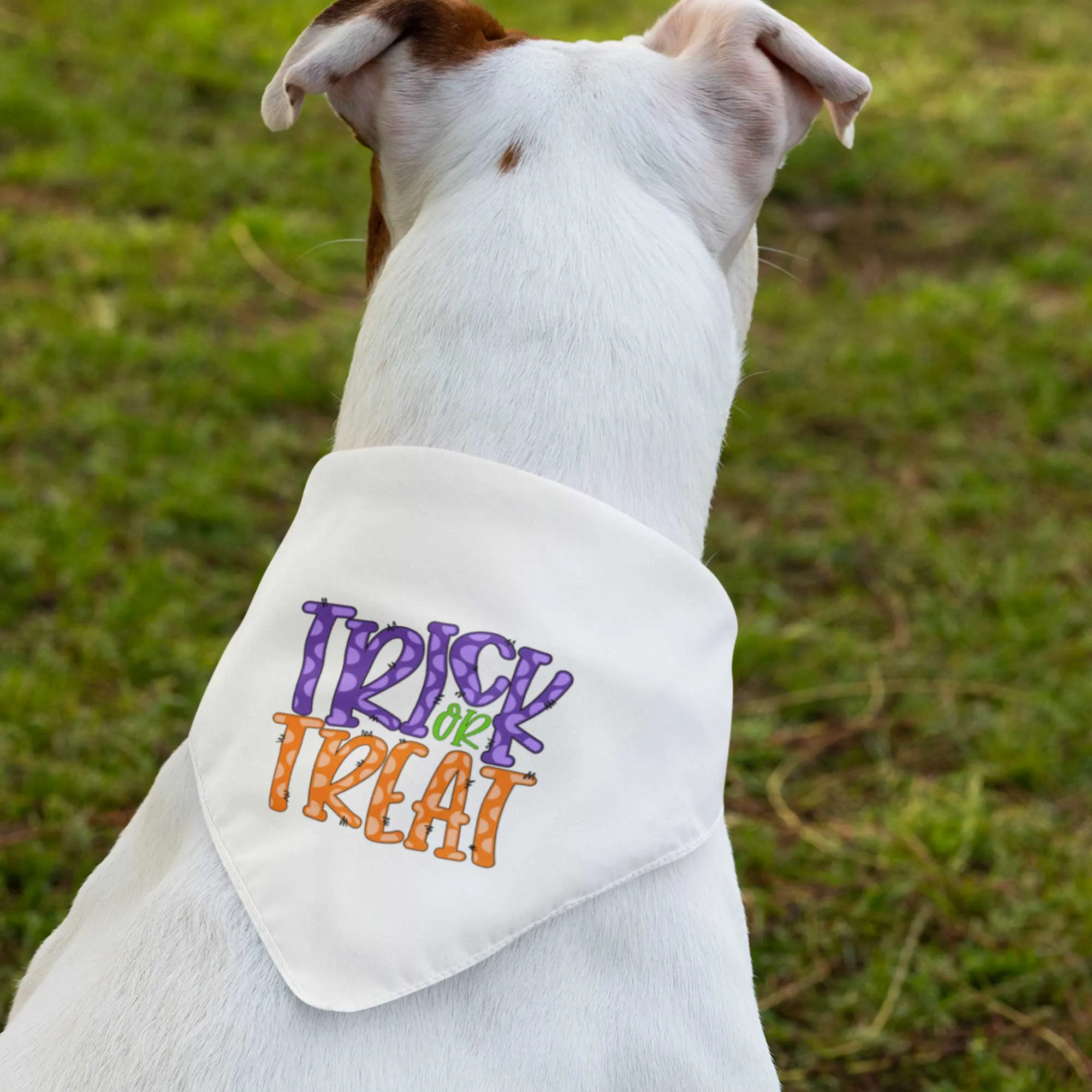 Trick or Treat Tie-On Pet Bandana with Purple