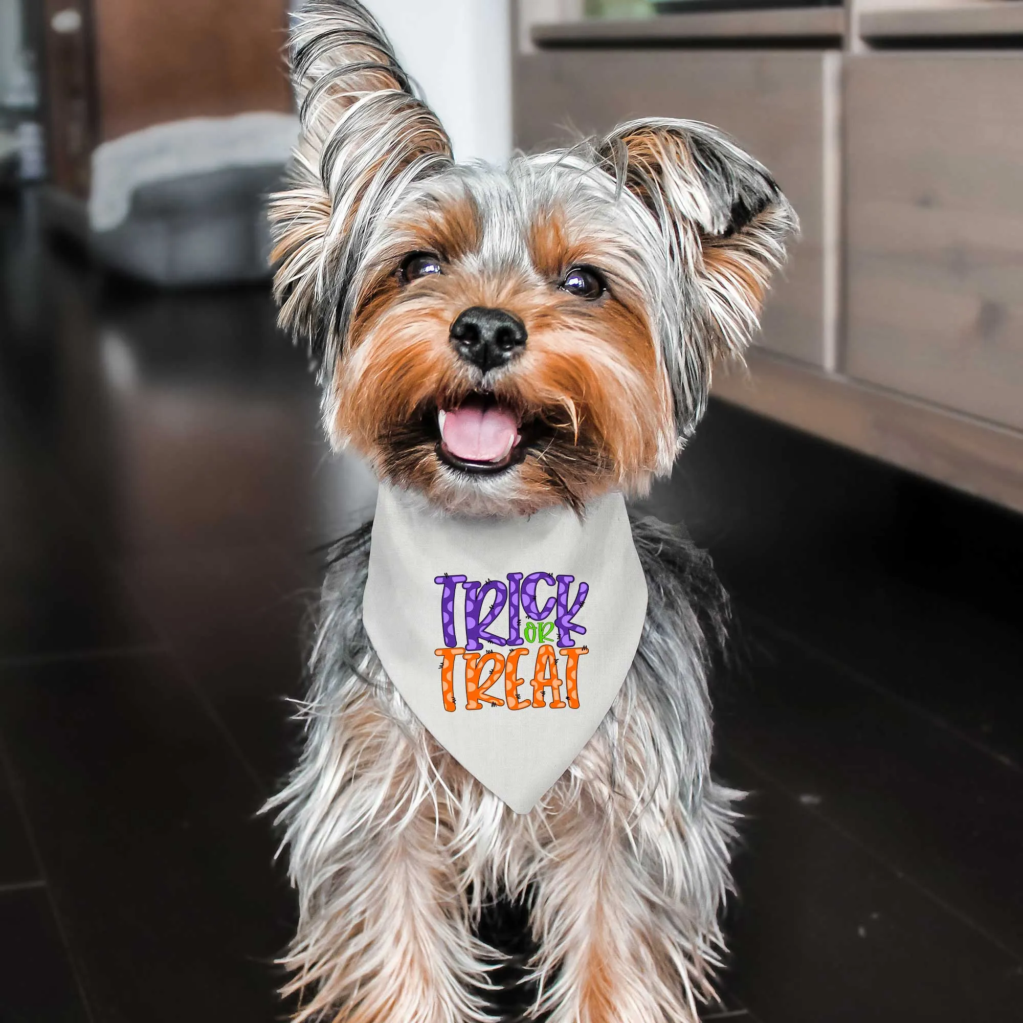 Trick or Treat Tie-On Pet Bandana with Purple