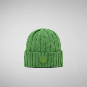 Unisex ribbed beanie jo in grass green